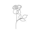 Rose one line drawing. Continuous line rose flower. Hand-drawn minimalist illustration.